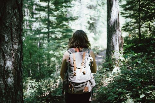 hiker backpacker hiking