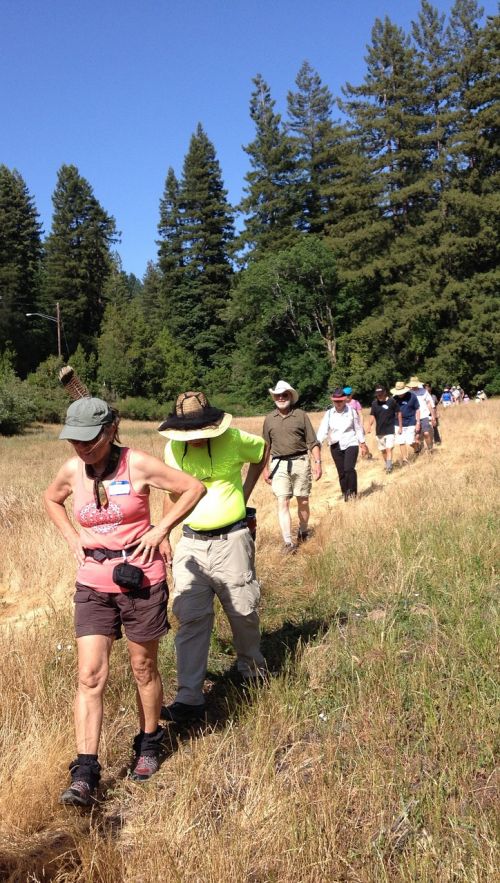 hiking california summer