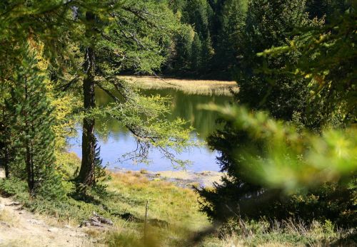 hiking pond biotope