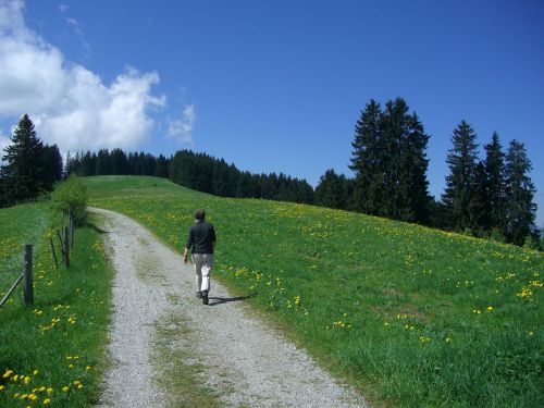 hiking walk trail