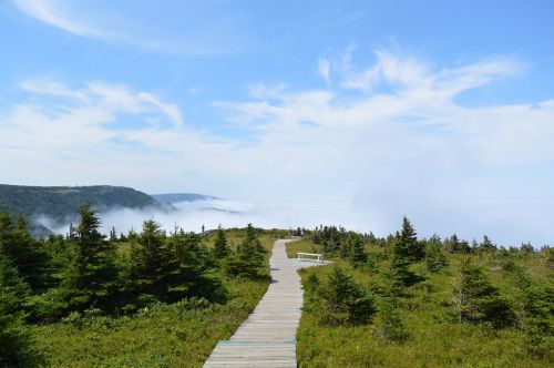 hiking mountain nature