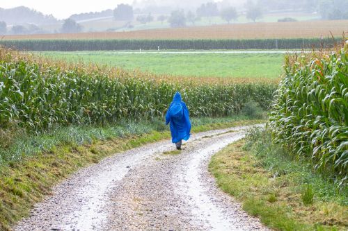 hiking hike rainy day