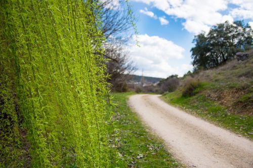 hiking nature spain