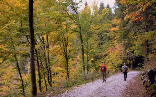 hiking walk autumn