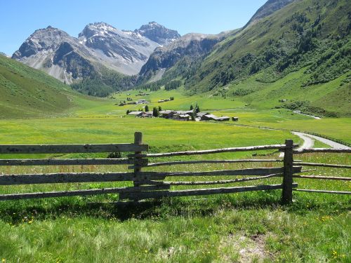 hiking alpine nature