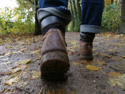 hiking  hiking shoes  wanderer