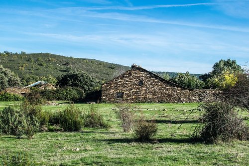 hiking  nature  landscape