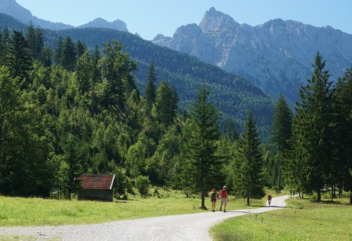 hiking  mtb  forest