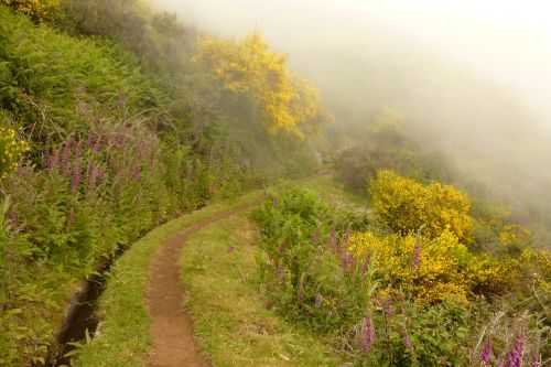 hiking madeira portugal