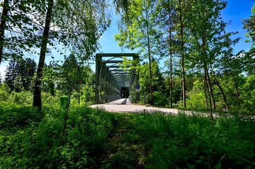 hiking  bridge  nature