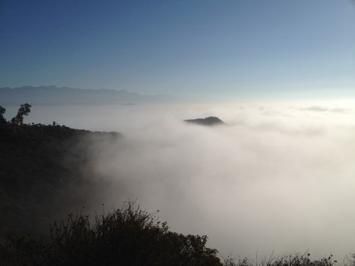 hiking nature fog