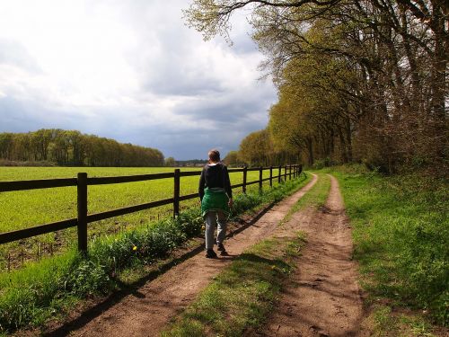 hiking boy sandy path