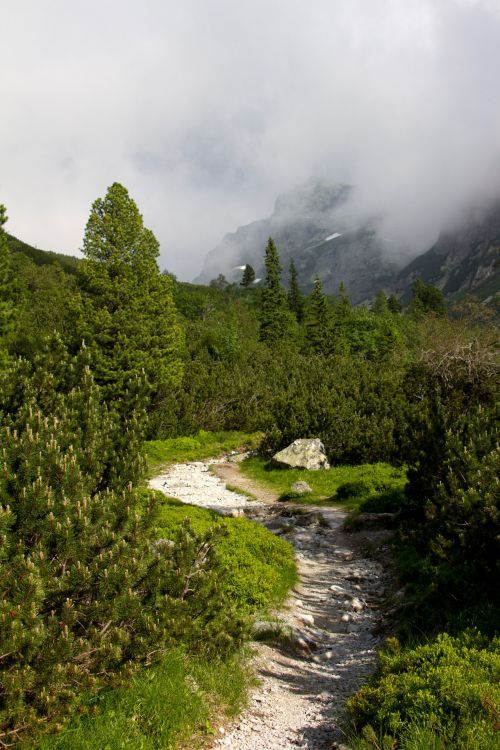 Hiking Path