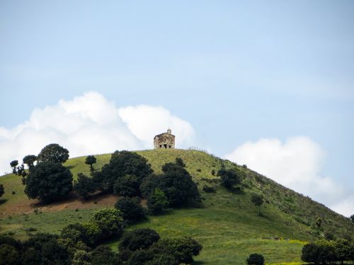 hill home landscape