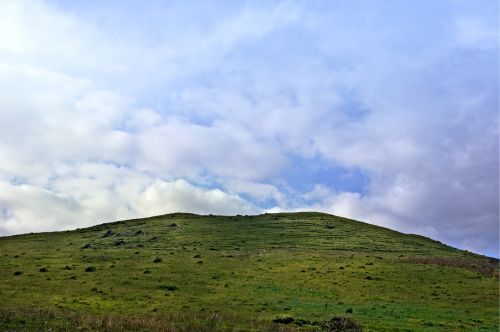 hill nature meadow