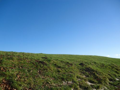 hill top grass