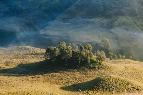 hill morning bromo