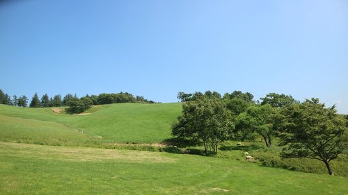 hill  ranch  skyline