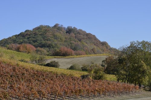 hill  forest  landscape