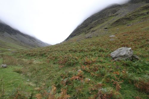 hill mist landscape