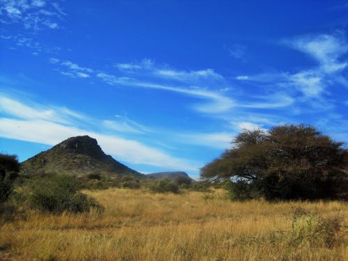 Hill, Veld &amp; Tree In Northern Cape