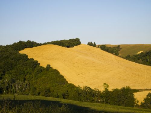 hills tuscany colors