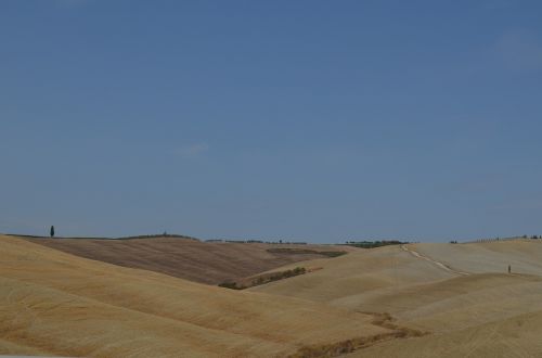 hills siena tuscany