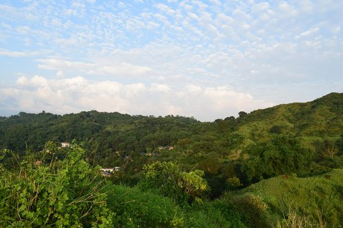 hills  green  landscape