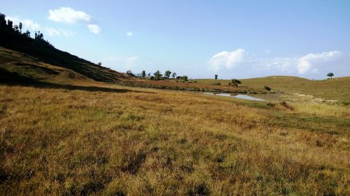 himalayan grassland high mountain pond
