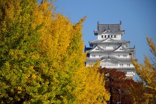 himeji  castle  japan