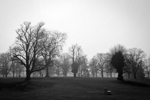 Himley Hall