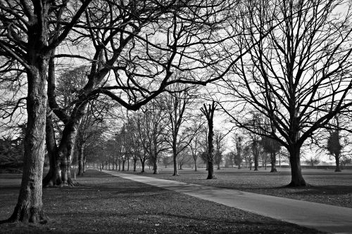 Himley Hall