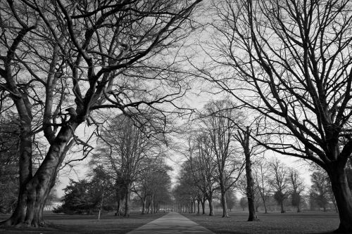 Himley Hall