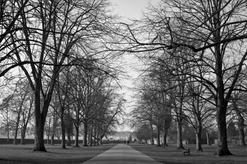 Himley Hall