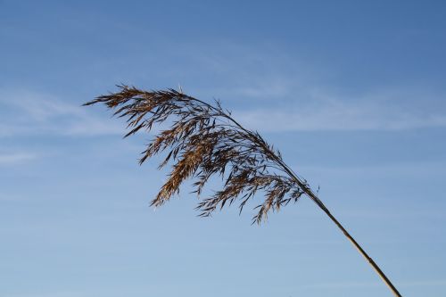 himmel nature no person