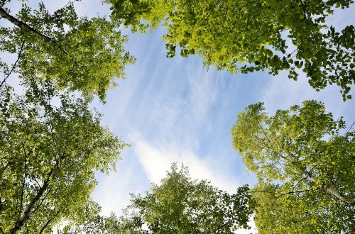 himmel blue summer