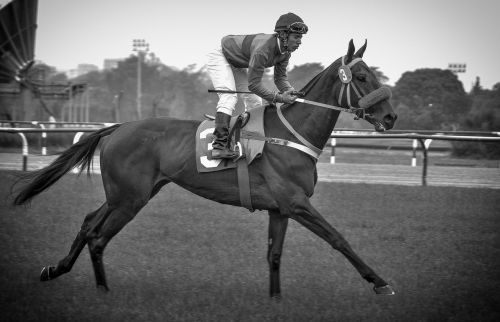 hipódromo de san isidro buenos aires argentina