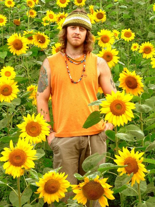 hippie sunflowers yellow