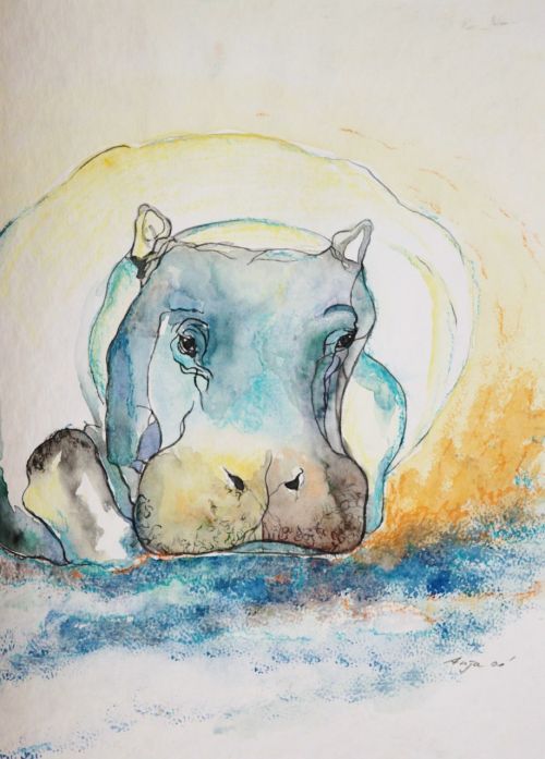 hippo animal watercolour