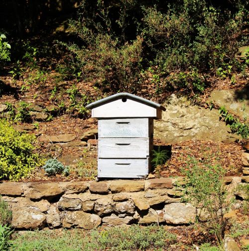 hive beekeeping garden