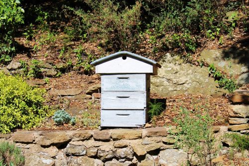 hive beekeeping garden