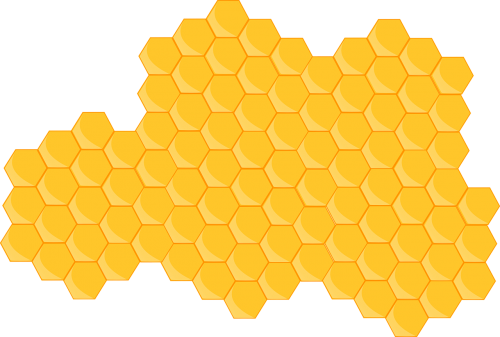 hive honeycomb bee