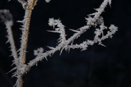 hoarfrost frost winter