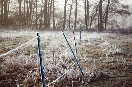 hoarfrost fence winter