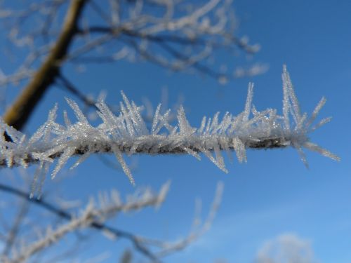 hoarfrost eiskristalle frost