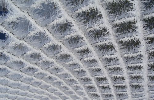 hoarfrost wire mesh fence