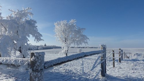 hoarfrost  fence  snow