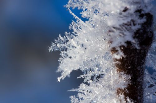 hoarfrost winter snow