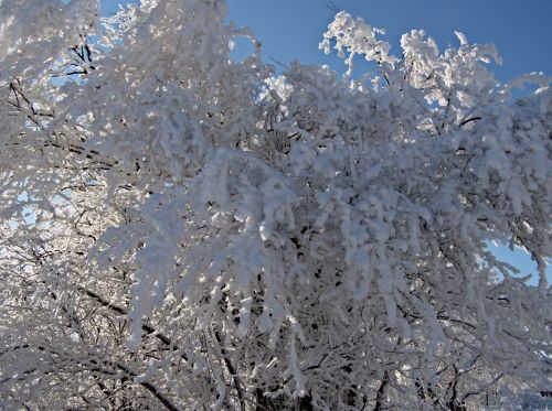 Hoarfrost