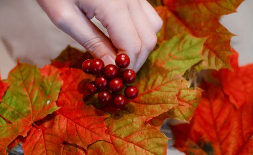 hobby autumn leaves